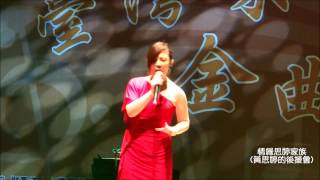 2013.12.13《台灣味 金曲三十 演唱會》 黃思婷《車站》