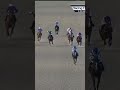 bizarre race at dundalk sees 12 jockeys banned horse horseracing racingtv britishhorseracing