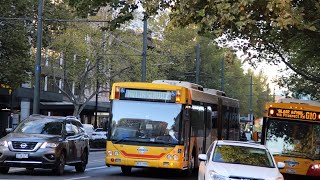 954 - Scania L94UA, Custom CB60 combo - Torrens Transit (Adelaide Metro)