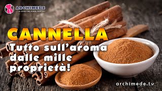 Cannella: Tutto sull'Aroma dalle Mille Proprietà!