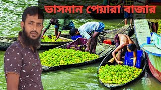 অপরূপ ভীমরুল ভাসমান পেয়ারা  বাজার( bhimrul vashoman payara Bajar)  (  Volog 01)