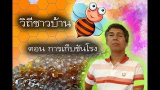 วิถีชาวบ้าน |ตอน การเก็บน้ำผึ้งชันโรง (อุง) กลางดึก 🐝