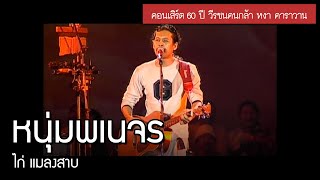 ไก่ แมลงสาบ - หนุ่มพเนจร [คอนเสิร์ต 60 ปี วีรชนคนกล้า หงา คาราวาน]