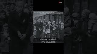 Niech mówią ci, którzy tam byli – 80. rocznica wyzwolenia KL Auschwitz-Birkenau #ŚwiadkowieEpoki