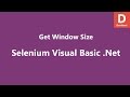 Selenium Visual Basic .Net Get Window Size