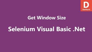 Selenium Visual Basic .Net Get Window Size