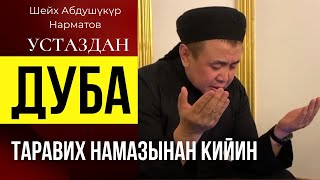 УСТАЗДАН ДУБА🤲🏻🤲🏻😰 ААЛЫМДАРЫБЫЗ БАР БОЛСУН | ШЕЙХ АБДҮШҮКҮР НАРМАТОВ #кыргызстан #жанылыктар