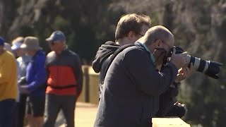 Cypress Boardwalk connects people with nature at Orlando Wetlands Park