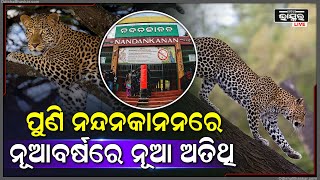 ପୁଣି ପର୍ଯ୍ୟଯକଙ୍କ ପାଇଁ ଆସିଲା ଖୁସି ଖବର , ନୂଆବର୍ଷରେ ନନ୍ଦନକାନନକୁ ଆସିବେ ନୂଆ ଅତିଥି