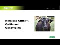 crispr explained gene editing history technology and applications