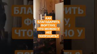 КАК БЛАГОДАРИТЬ ФОРТУНУ, ЧТО МОЖНО У НЕЁ ПОПРОСИТЬ #ингахосроева #фортуна #short