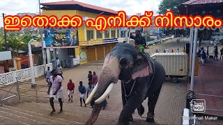 Chemmarapally Gangadhran ll നോക്കണ്ട പാപ്പാന്നെ ഞാൻ കയറിക്കോളാം