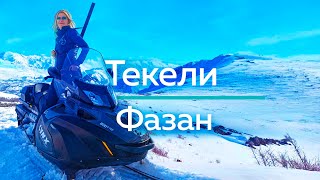 ТЕКЕЛИ - Путешествие по шахтам и Как приготовить Фазана на огне! /\