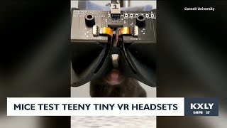 Mice test teeny tiny VR headset