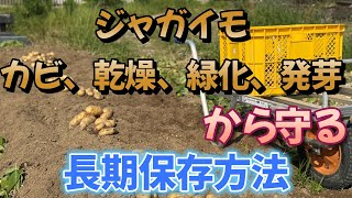 Things you must do to store potatoes for a long time! This made them last for 2 years.
