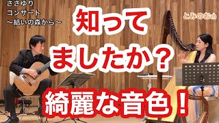 【情報共有致します！】ささゆりコンサート！in多賀結いの森。感想紀行です！