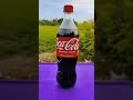 #shorts | 🌈🎈 Coca Cola vs Mentos Experiment