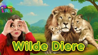 Bad Liedjie Afrikaanse Liedjies Vir Kinders Opvoedkundige Videos Vir