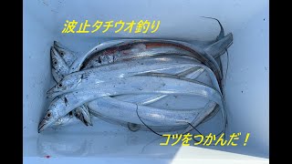 波止からのタチウオ釣りは２つ抑えれば釣果がめちゃくちゃ変わる。（簡単）