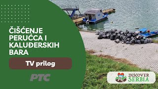 Akcija čišćenja Perućca i Kaluđerskih bara | RTS  - TV prilog | Discover Serbia