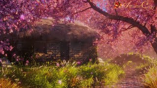 🌸✨SPRING AMBIENCE WITH CHERRY BLOSSOMS: Stream Sounds, Spring Day Sounds, Splashing