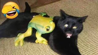 Funny ANIMALS videos 😂 Funniest CATS😺 and DOGS🐶 2025 Episode #18