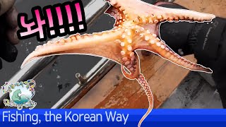 Fishing with the Dalbong.-Boat octopus Fishing-