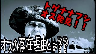 [はいかいラジオ]  オスの存在意義とは　　トゲナナフシのオス発見