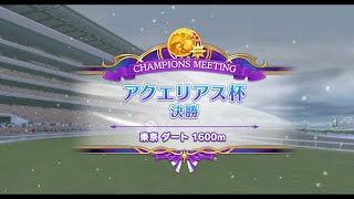 チャンピオンズミーティング アクエリアス杯2023　グレードリーグ Bグループ決勝 東京 ダート 1600m(マイル) 左 冬 雪 重 晴　エルコンドルパサー＆イナリワン＆アグネスデジタル