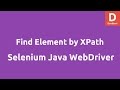 Find element by XPath Selenium Java