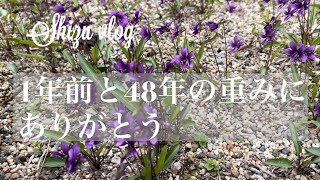 【楽しむ暮らし70代】1年前と48年の重み/結婚記念日/料理/シニアライフ