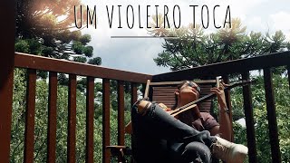 Um Violeiro Toca - Almir Sater (cover) - Cibelle Hespanhol