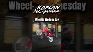 Happy Wheelie Wednesday 🤘🏻👊🏻           (do not attempt to recreate any of the stunts you see.)