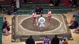 王輝-蘇/2018.1.18(31)/oki-ikeru/day5 #sumo