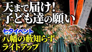 【絶景！七夕ライトアップ in 八幡の藪知らず】天まで届け！子どもたちの願い