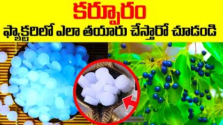 కర్పూరం ఎలా తయారు చేస్తారో తెలుసా? How Camphor made in factory | CAMPHOR  Camphor Production Process