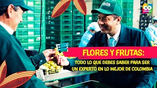 Colombianólogos: expertos en flores y frutas colombianas