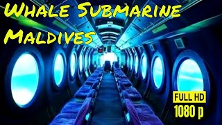 Whale Submarine Maldives || Maldives submarine tour || Price Location Review