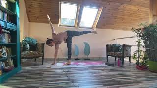 Scurta Sedinta De Vinyasa Yoga Nivel Incepator Si Mediu Cu Asane Noi King39s Pose Si Wild Thing