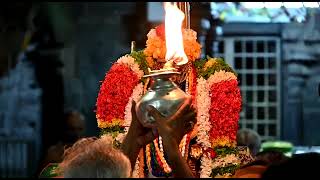 நம்பெருமாள் திருவந்திக்காப்பு..#srirangam #namperumal #devotional #trichy #status #perumal #chennai