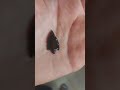 Triflow Obsidian Arrowhead Sneak Peak: Flint Knapping, Rockhounding