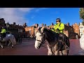 changing of the guard at st. james palace westminster england scots guard