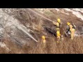 scrub fire in central balclutha