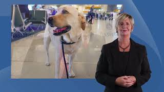 British Airways Accessible Journeys 📺📺#tellyads
