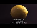 レモン 米津玄師 歌詞付き🍋高音質フル🎧 cover lemon kenshi yonezu