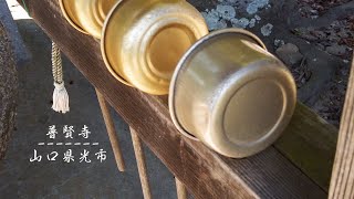 【山口県光市】平安時代中期 1006年創建の普賢寺散歩 #shorts