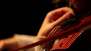 "In Tune" - UL Quality Enhancement Plan - QEP