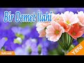 bir demet İlahi 💖 karışık harika İlahiler 💖 en güzel seçme İlahiler 💖 İlahi vakti