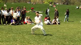 Master Longfei Yang Demonstrates Shanxi Style Praying Mantis in Central Park