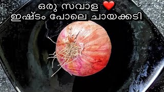 ഒരു സവാളക്ക് ഇത്ര രുചിയോ 👌❤️